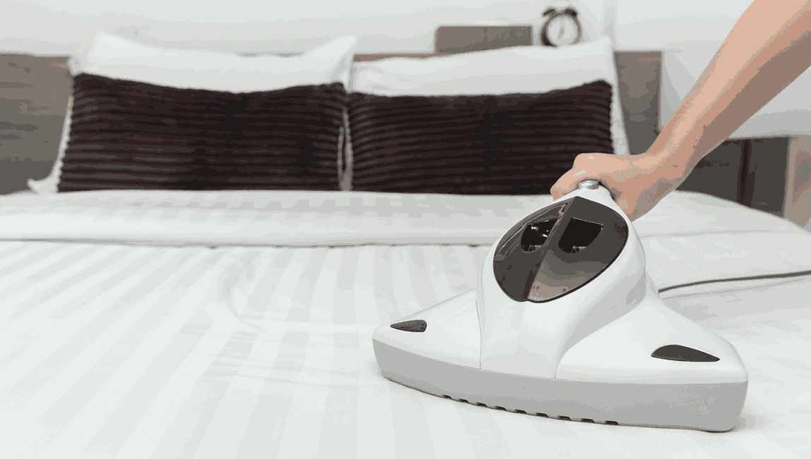 Professional Mattress Cleaning Brunswick